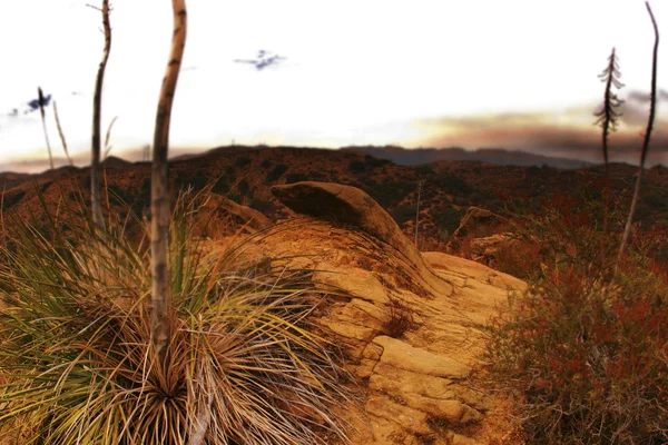 Foto av öken med gula klippformationer — Stockfoto