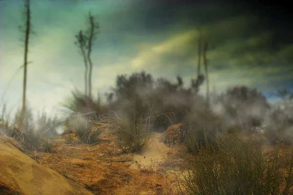 Foto de niebla colina del desierto — Foto de Stock