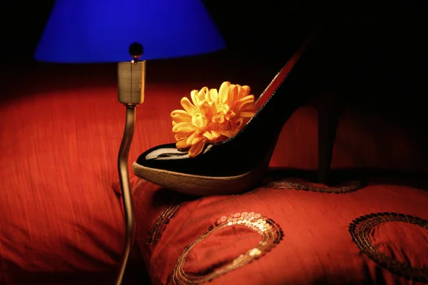 stock image Still life of shoe and lamp