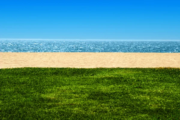 Вид на пляж и океан — стоковое фото