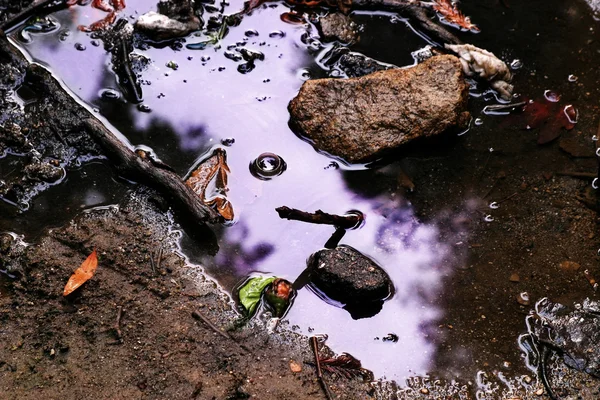 紫色水坑 — 图库照片
