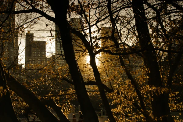 中央公園の夕日 — ストック写真