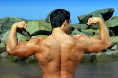 Body builder flexing his back clipart