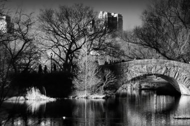 Bridge and trees clipart