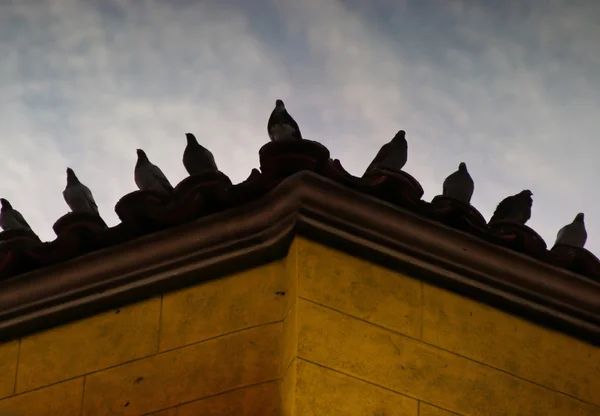 Pombos no telhado — Fotografia de Stock