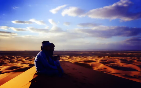 stock image Desert scene