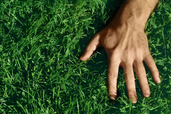 Hand på gräs — Stockfoto