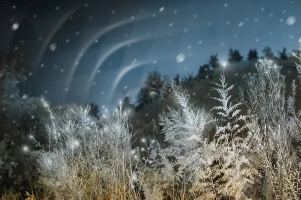 Északi fények karácsonykor — Stock Fotó