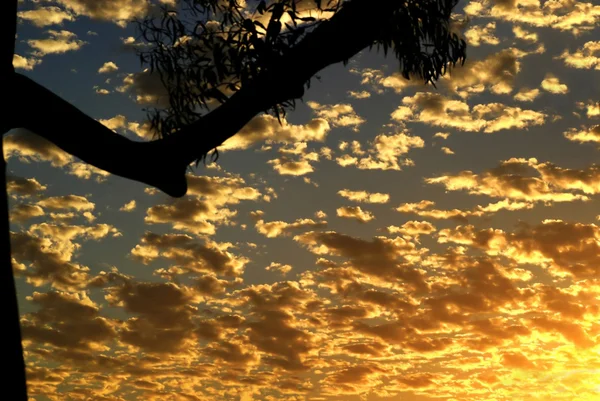 Beautiful sky — Stock Photo, Image