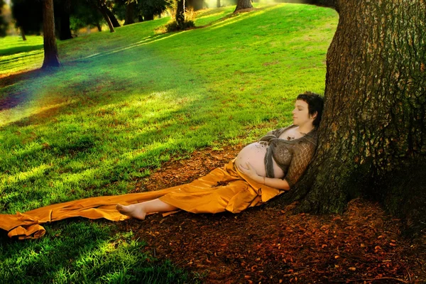 Těhotná žena proti strom — Stock fotografie