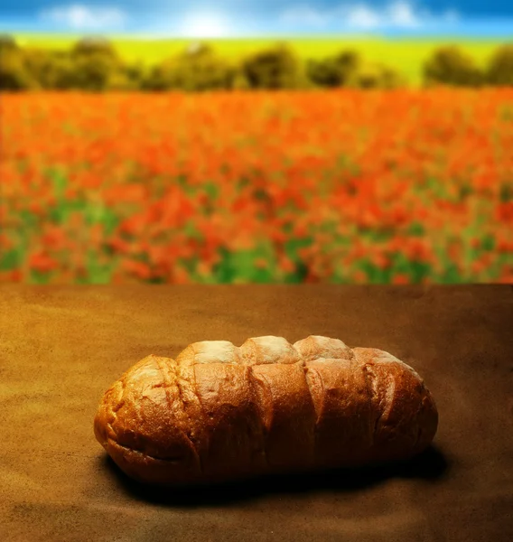Roti kehidupan. — Stok Foto