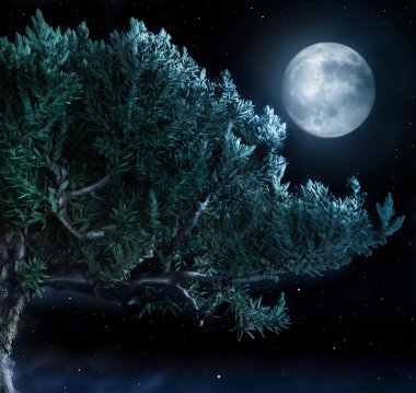 Tree and Moon clipart