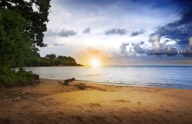 Sunrise over beach clipart