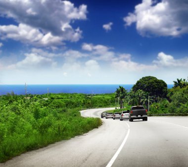 Tropical road clipart