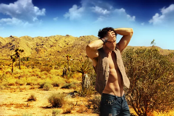 Sexy man in woestijn — Stockfoto