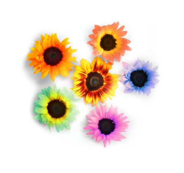 Abstract sunflowers — Stock Photo, Image