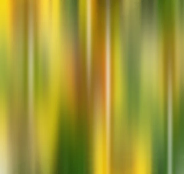 Bulanık yaprak — Stok fotoğraf