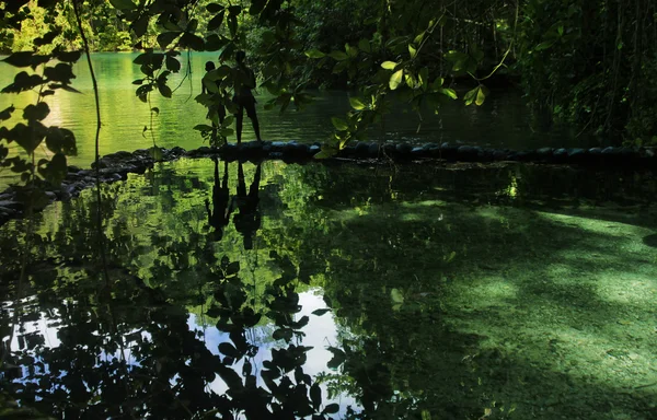 stock image Jungle paradise couple