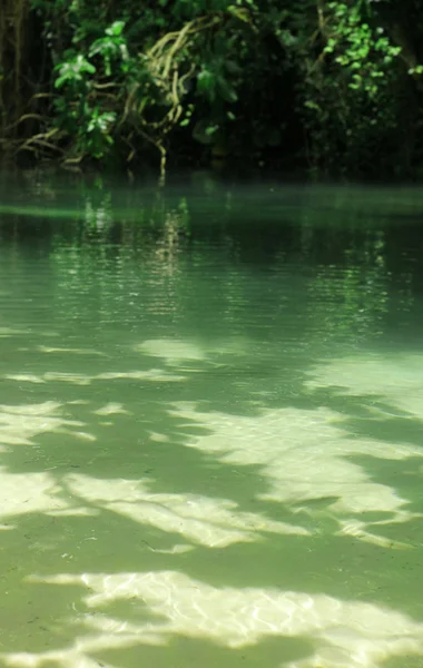 Lagoa da selva — Fotografia de Stock