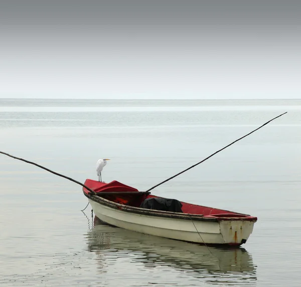 Lonely row boat — Stock Photo, Image