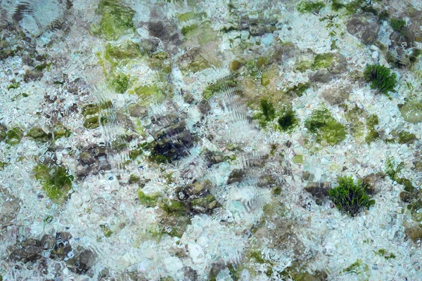 Ocean floor background — Stock Photo, Image