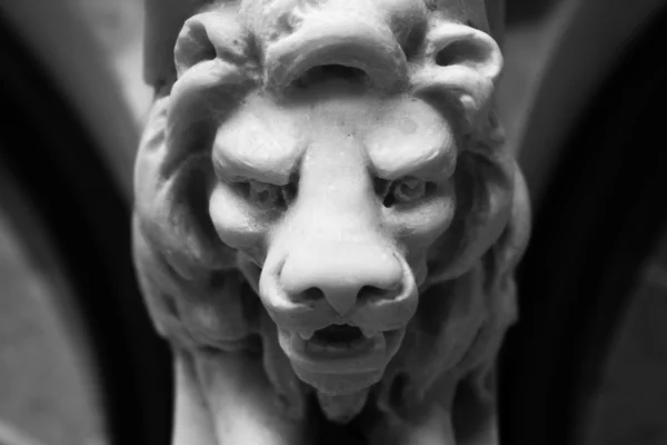 Głowa lwa — Zdjęcie stockowe