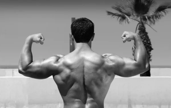 stock image Bodybuilder back