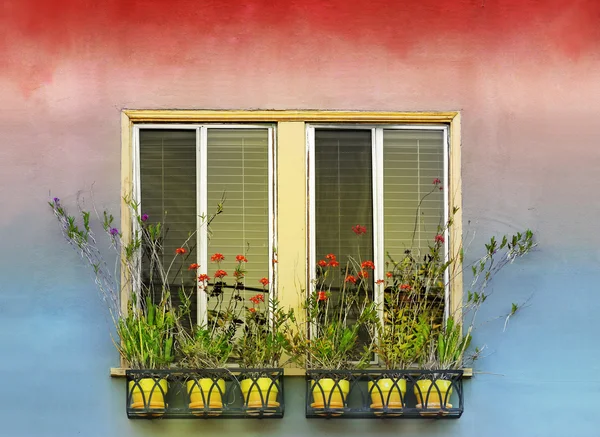 Květináče a okno — Stock fotografie