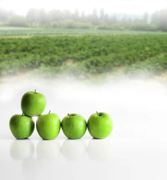 Яблоки в ряд — стоковое фото