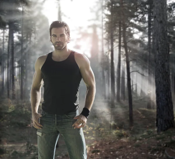 Man in forest — Stock Photo, Image