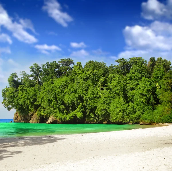 Tropical paradise — Stock Photo, Image
