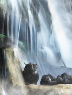 Resting primates and waterfall clipart