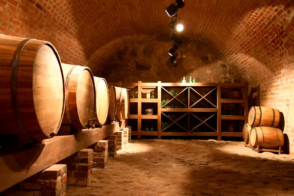Barris de vinho em uma adega — Fotografia de Stock