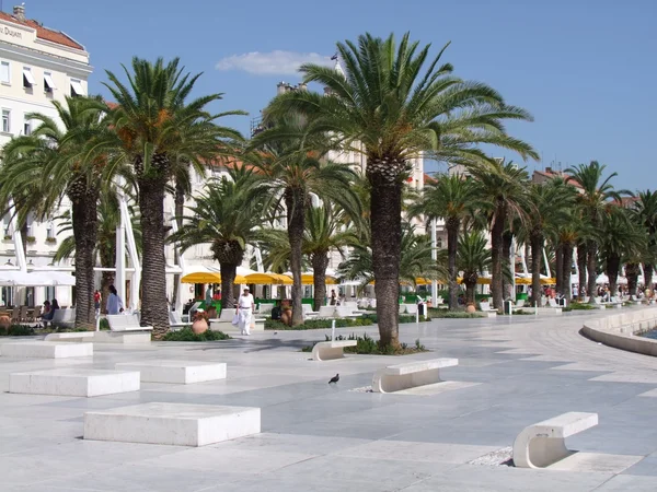 stock image Riva in Split Croatia - Palms and Harbour