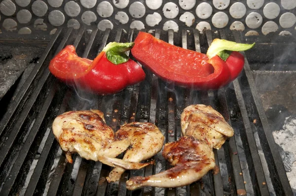 Vegetables and chicken on the grill — Stock Photo, Image