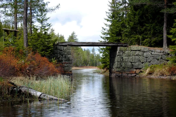 Bro i skogen — Stockfoto