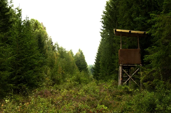 Torre na floresta — Fotografia de Stock
