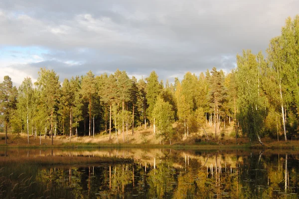 Осень в Скандинавии — стоковое фото