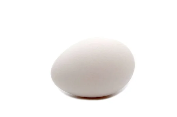 Jedna bílá vejce — Stock fotografie