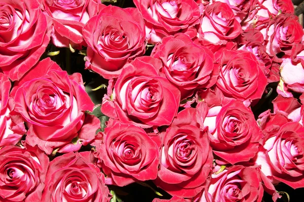 Stock image Bouquet of roses