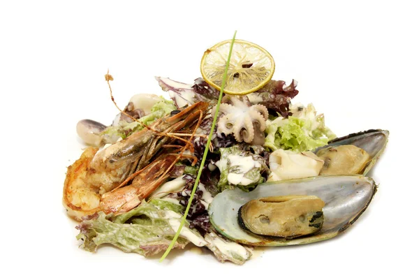 Salat med rejer og muslinger - Stock-foto