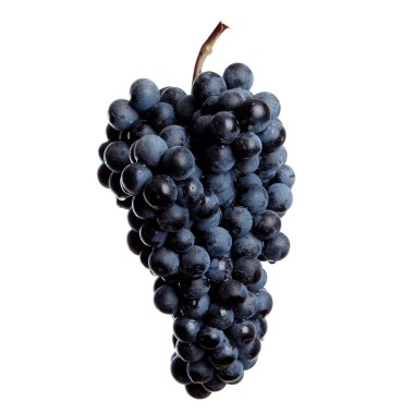Fresh bunch of red wine clipart