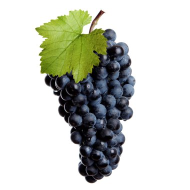 Fresh bunch of red wine clipart