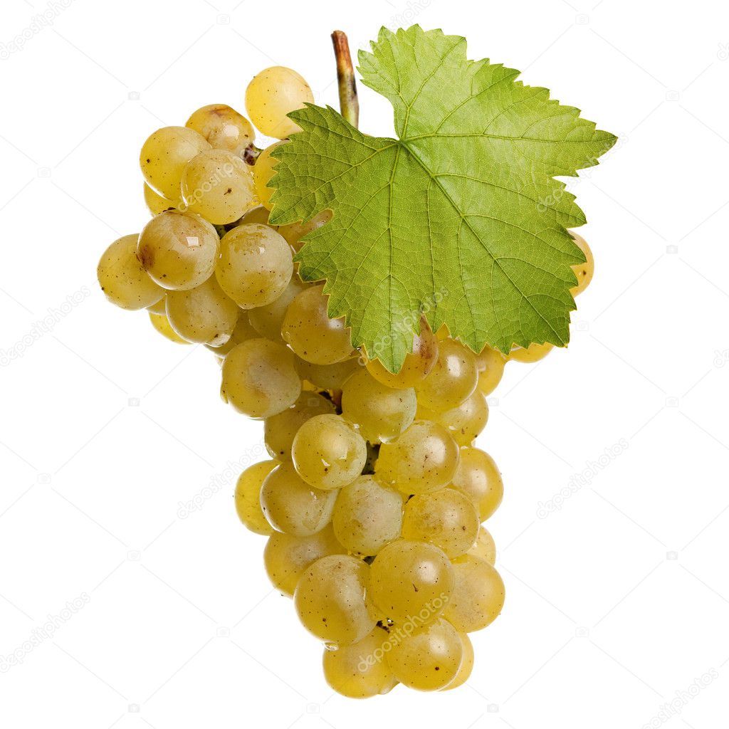 Fresh bunch of white wine on a white background