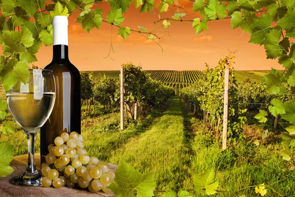 Flasche und Glas Wein und die Weinberge des Sonnenuntergangs lizenzfreie Stockbilder