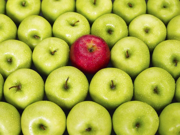 Red and green apples — Stock Photo, Image