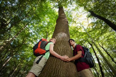 Environmental conservation: young hikers embracing large tree clipart