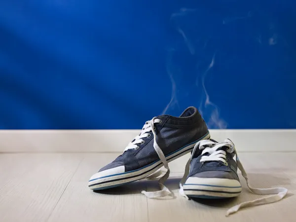 Cheirando sapatos desgastados deixados no chão de madeira — Fotografia de Stock