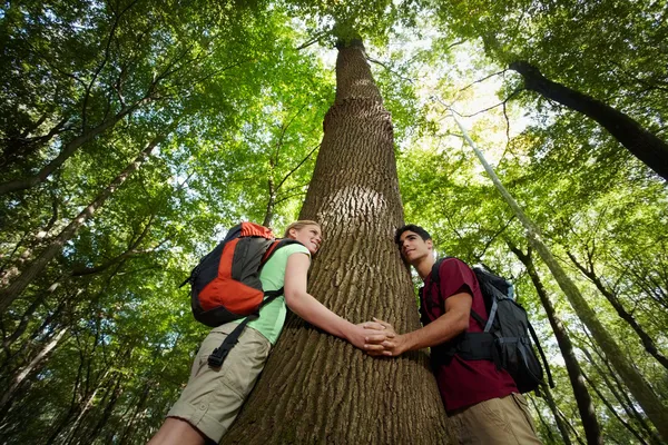 Behoud van het milieu: jonge wandelaars omarmen grote boom — Stockfoto