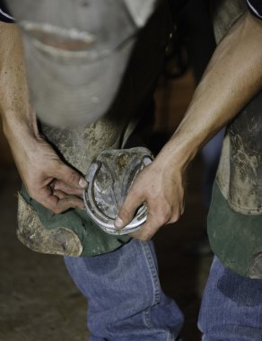 Blacksmith shoeing horse clipart